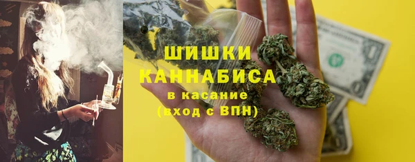 тгк Горнозаводск