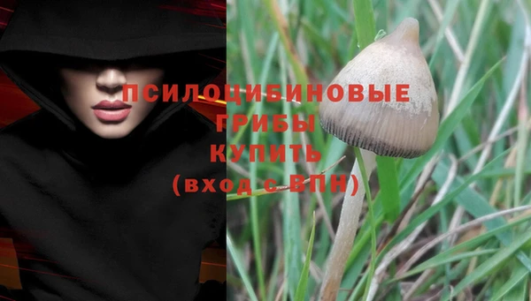альфа пвп Вяземский