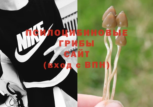 гашик Вязники
