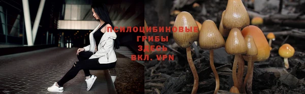 ГАЛЛЮЦИНОГЕННЫЕ ГРИБЫ Майский
