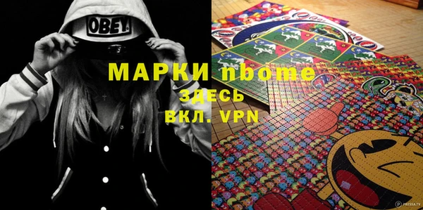 твердый Горняк