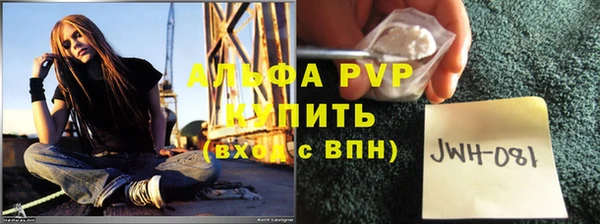 гашик Вязники