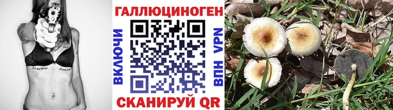 магазин продажи   Октябрьск  Галлюциногенные грибы Psilocybe 